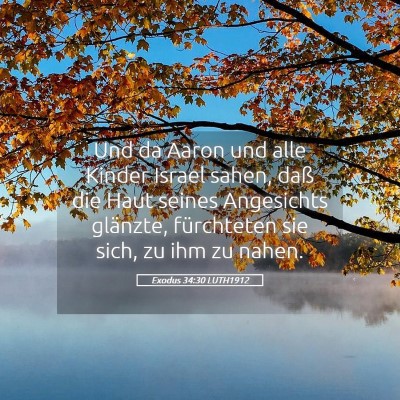Picture 05 - Exodus 34:30 LUTH1912 - Und da Aaron und alle Kinder Israel sahen, daß - Bible Verse Picture