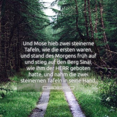 Picture 05 - Exodus 34:4 LUTH1912 - Und Mose hieb zwei steinerne Tafeln, wie die - Bible Verse Picture