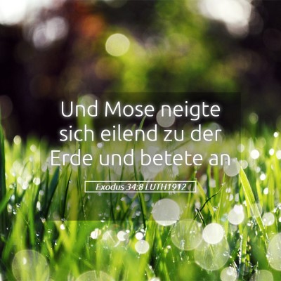 Picture 05 - Exodus 34:8 LUTH1912 - Und Mose neigte sich eilend zu der Erde und - Bible Verse Picture