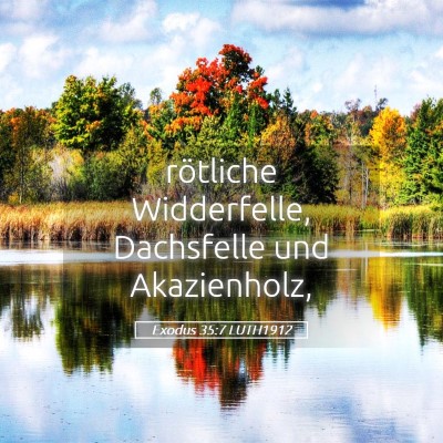 Picture 05 - Exodus 35:7 LUTH1912 - rötliche Widderfelle, Dachsfelle und - Bible Verse Picture