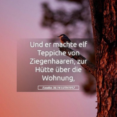 Picture 05 - Exodus 36:14 LUTH1912 - Und er machte elf Teppiche von Ziegenhaaren, zur - Bible Verse Picture