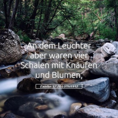 Picture 05 - Exodus 37:20 LUTH1912 - An dem Leuchter aber waren vier Schalen mit - Bible Verse Picture