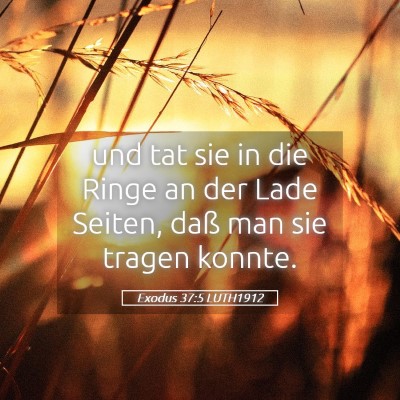 Picture 05 - Exodus 37:5 LUTH1912 - und tat sie in die Ringe an der Lade Seiten, daß - Bible Verse Picture