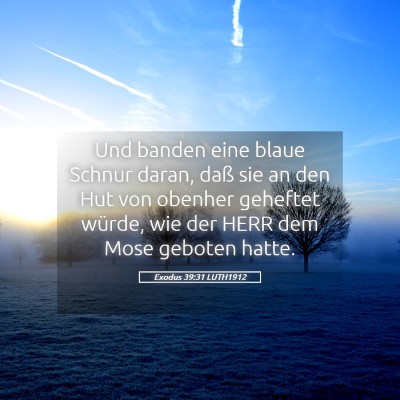 Picture 05 - Exodus 39:31 LUTH1912 - Und banden eine blaue Schnur daran, daß sie an - Bible Verse Picture