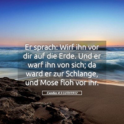 Picture 05 - Exodus 4:3 LUTH1912 - Er sprach: Wirf ihn vor dir auf die Erde. Und er - Bible Verse Picture