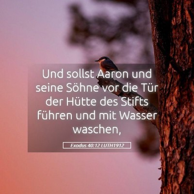 Picture 05 - Exodus 40:12 LUTH1912 - Und sollst Aaron und seine Söhne vor die Tür - Bible Verse Picture