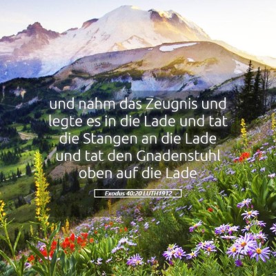 Picture 05 - Exodus 40:20 LUTH1912 - und nahm das Zeugnis und legte es in die Lade und - Bible Verse Picture