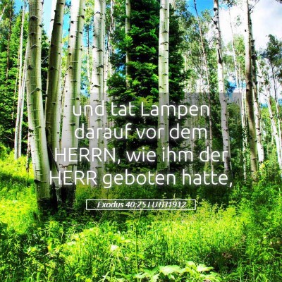 Picture 05 - Exodus 40:25 LUTH1912 - und tat Lampen darauf vor dem HERRN, wie ihm der - Bible Verse Picture