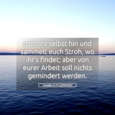 Picture 05 - Exodus 5:11 LUTH1912 - geht ihr selbst hin und sammelt euch Stroh, wo - Bible Verse Picture