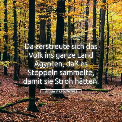 Picture 05 - Exodus 5:12 LUTH1912 - Da zerstreute sich das Volk ins ganze Land - Bible Verse Picture