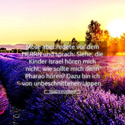 Picture 05 - Exodus 6:12 LUTH1912 - Mose aber redete vor dem HERRN und sprach: Siehe, - Bible Verse Picture