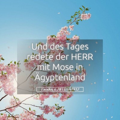 Picture 05 - Exodus 6:28 LUTH1912 - Und des Tages redete der HERR mit Mose in - Bible Verse Picture
