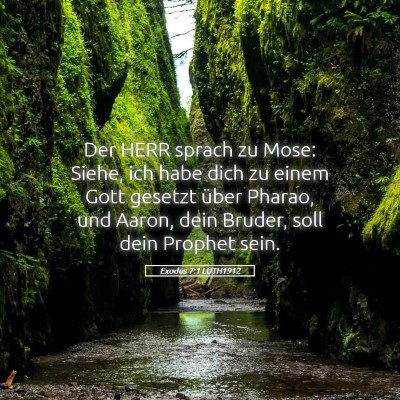 Picture 05 - Exodus 7:1 LUTH1912 - Der HERR sprach zu Mose: Siehe, ich habe dich zu - Bible Verse Picture