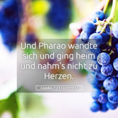 Picture 05 - Exodus 7:23 LUTH1912 - Und Pharao wandte sich und ging heim und nahm's - Bible Verse Picture