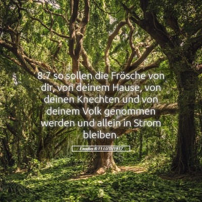 Picture 05 - Exodus 8:11 LUTH1912 - 8:7 so sollen die Frösche von dir, von deinem - Bible Verse Picture
