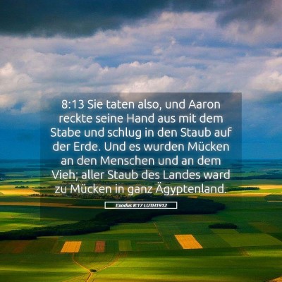 Picture 05 - Exodus 8:17 LUTH1912 - 8:13 Sie taten also, und Aaron reckte seine Hand - Bible Verse Picture