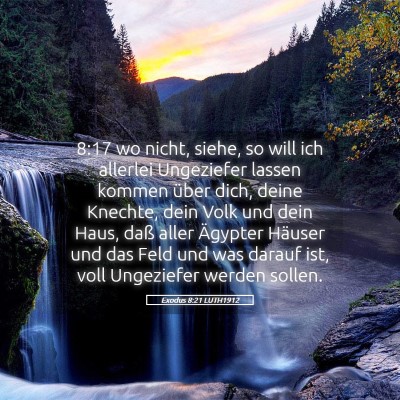 Picture 05 - Exodus 8:21 LUTH1912 - 8:17 wo nicht, siehe, so will ich allerlei - Bible Verse Picture