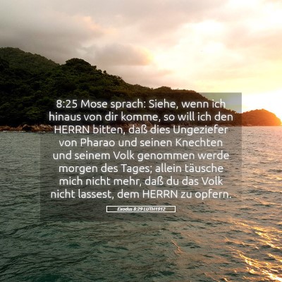 Picture 05 - Exodus 8:29 LUTH1912 - 8:25 Mose sprach: Siehe, wenn ich hinaus von dir - Bible Verse Picture