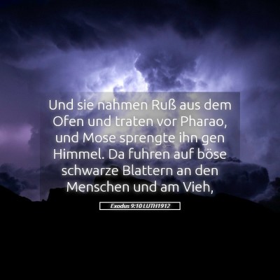 Picture 05 - Exodus 9:10 LUTH1912 - Und sie nahmen Ruß aus dem Ofen und traten vor - Bible Verse Picture