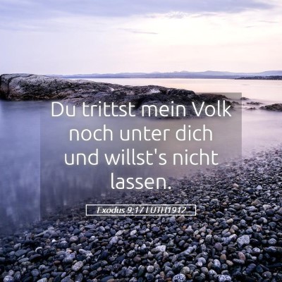 Picture 05 - Exodus 9:17 LUTH1912 - Du trittst mein Volk noch unter dich und willst's - Bible Verse Picture