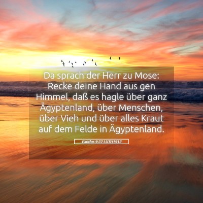 Picture 05 - Exodus 9:22 LUTH1912 - Da sprach der Herr zu Mose: Recke deine Hand aus - Bible Verse Picture