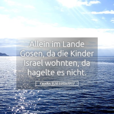 Picture 05 - Exodus 9:26 LUTH1912 - Allein im Lande Gosen, da die Kinder Israel - Bible Verse Picture