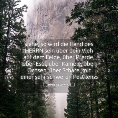 Picture 05 - Exodus 9:3 LUTH1912 - siehe, so wird die Hand des HERRN sein über dein - Bible Verse Picture