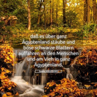 Picture 05 - Exodus 9:9 LUTH1912 - daß es über ganz Ägyptenland stäube und böse - Bible Verse Picture
