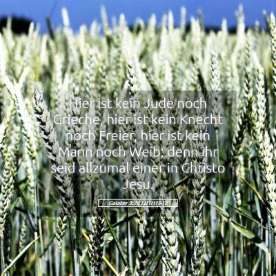 Picture 05 - Galater 3:28 LUTH1912 - Hier ist kein Jude noch Grieche, hier ist kein - Bible Verse Picture