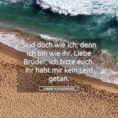 Picture 05 - Galater 4:12 LUTH1912 - Seid doch wie ich; denn ich bin wie ihr. Liebe - Bible Verse Picture