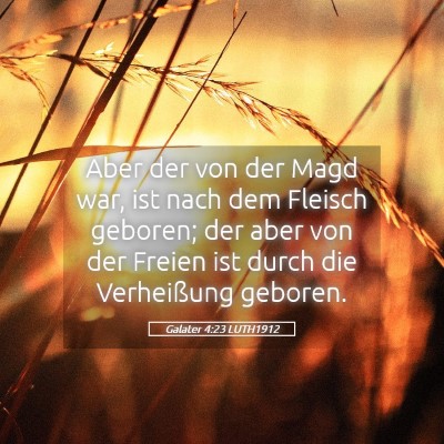 Picture 05 - Galater 4:23 LUTH1912 - Aber der von der Magd war, ist nach dem Fleisch - Bible Verse Picture