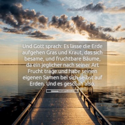 Picture 05 - Genesis 1:11 LUTH1912 - Und Gott sprach: Es lasse die Erde aufgehen Gras - Bible Verse Picture