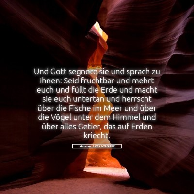 Picture 05 - Genesis 1:28 LUTH1912 - Und Gott segnete sie und sprach zu ihnen: Seid - Bible Verse Picture