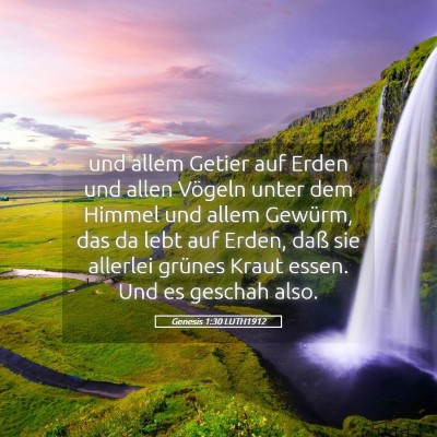 Picture 05 - Genesis 1:30 LUTH1912 - und allem Getier auf Erden und allen Vögeln - Bible Verse Picture