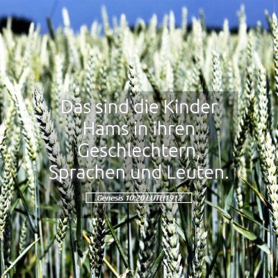 Picture 05 - Genesis 10:20 LUTH1912 - Das sind die Kinder Hams in ihren Geschlechtern, - Bible Verse Picture