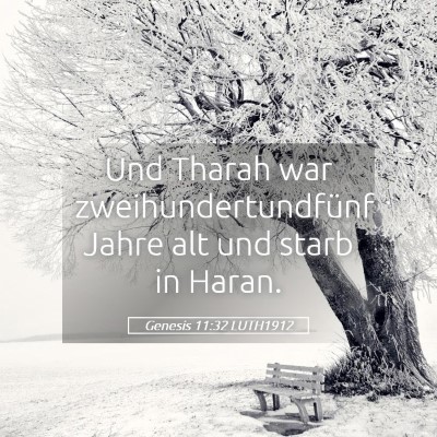 Picture 05 - Genesis 11:32 LUTH1912 - Und Tharah war zweihundertundfünf Jahre alt und - Bible Verse Picture