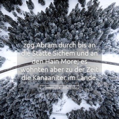 Picture 05 - Genesis 12:6 LUTH1912 - zog Abram durch bis an die Stätte Sichem und an - Bible Verse Picture