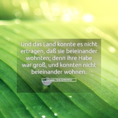 Picture 05 - Genesis 13:6 LUTH1912 - Und das Land konnte es nicht ertragen, daß sie - Bible Verse Picture