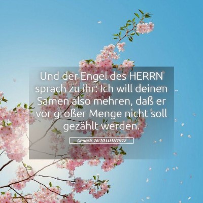 Picture 05 - Genesis 16:10 LUTH1912 - Und der Engel des HERRN sprach zu ihr: Ich will - Bible Verse Picture