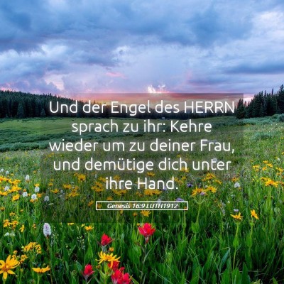 Picture 05 - Genesis 16:9 LUTH1912 - Und der Engel des HERRN sprach zu ihr: Kehre - Bible Verse Picture