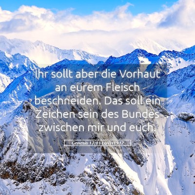 Picture 05 - Genesis 17:11 LUTH1912 - Ihr sollt aber die Vorhaut an eurem Fleisch - Bible Verse Picture