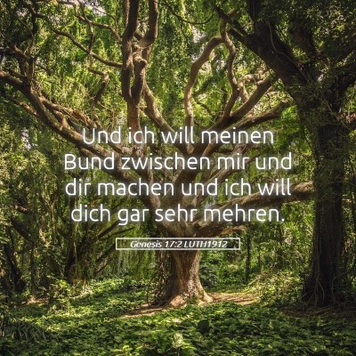 Picture 05 - Genesis 17:2 LUTH1912 - Und ich will meinen Bund zwischen mir und dir - Bible Verse Picture