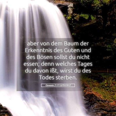 Picture 05 - Genesis 2:17 LUTH1912 - aber von dem Baum der Erkenntnis des Guten und - Bible Verse Picture