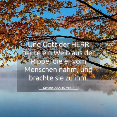 Picture 05 - Genesis 2:22 LUTH1912 - Und Gott der HERR baute ein Weib aus der Rippe, - Bible Verse Picture