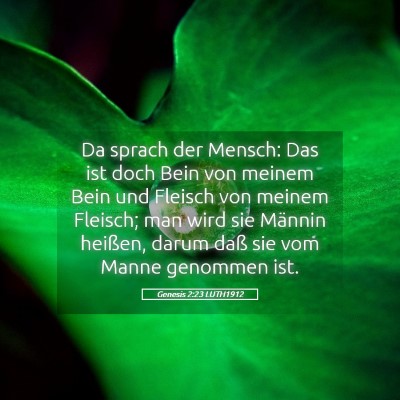 Picture 05 - Genesis 2:23 LUTH1912 - Da sprach der Mensch: Das ist doch Bein von - Bible Verse Picture