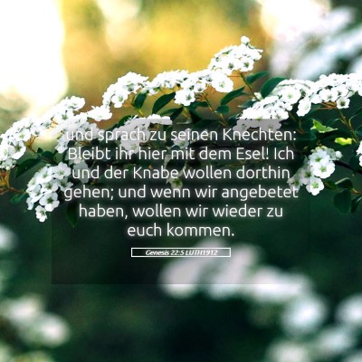 Picture 05 - Genesis 22:5 LUTH1912 - und sprach zu seinen Knechten: Bleibt ihr hier - Bible Verse Picture