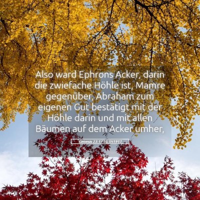 Picture 05 - Genesis 23:17 LUTH1912 - Also ward Ephrons Acker, darin die zwiefache - Bible Verse Picture
