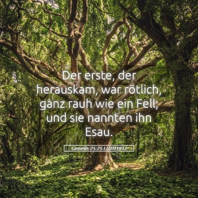 Picture 05 - Genesis 25:25 LUTH1912 - Der erste, der herauskam, war rötlich, ganz rauh - Bible Verse Picture