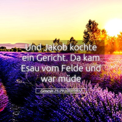 Picture 05 - Genesis 25:29 LUTH1912 - Und Jakob kochte ein Gericht. Da kam Esau vom - Bible Verse Picture