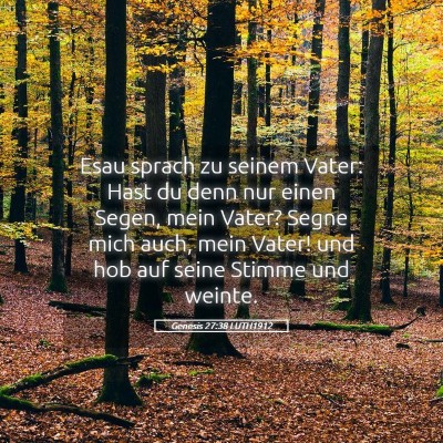 Picture 05 - Genesis 27:38 LUTH1912 - Esau sprach zu seinem Vater: Hast du denn nur - Bible Verse Picture